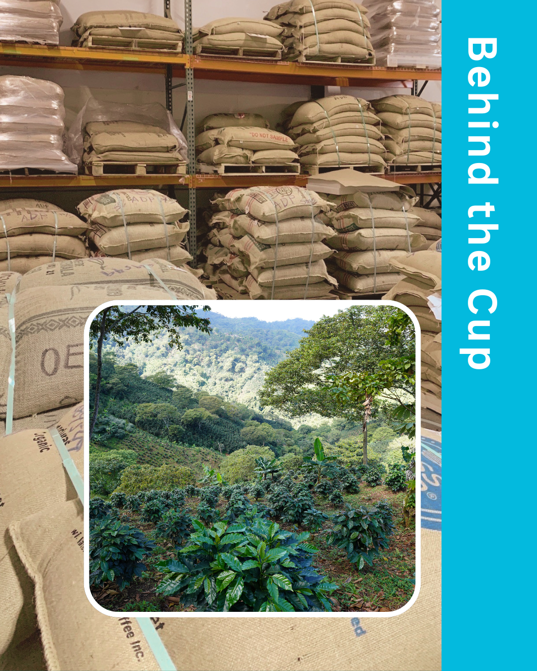 Behind the Cup: Looking Beyond the Bean