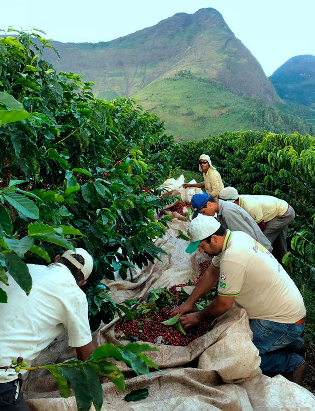 Brazil Dutra Matas de Minas
