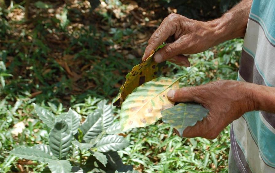 September is Organic Month - A Message from Jim