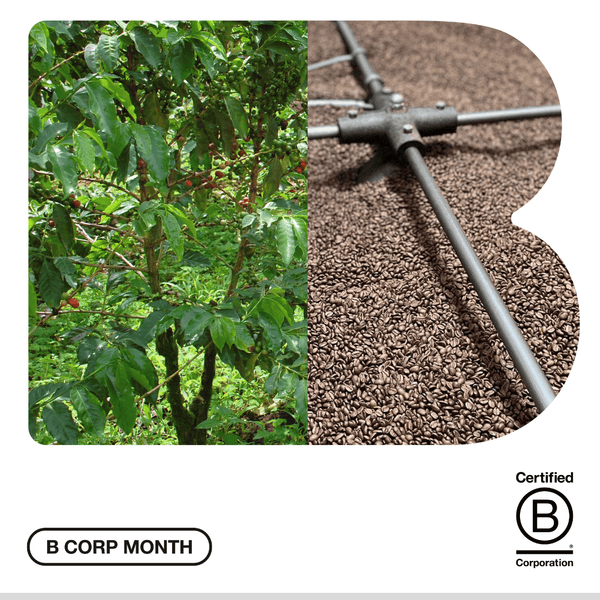 Proudly B Corp Certified & Part of Gen B