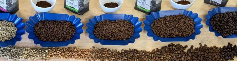 Don’t Be Fooled: Debunking Common Coffee Myths
