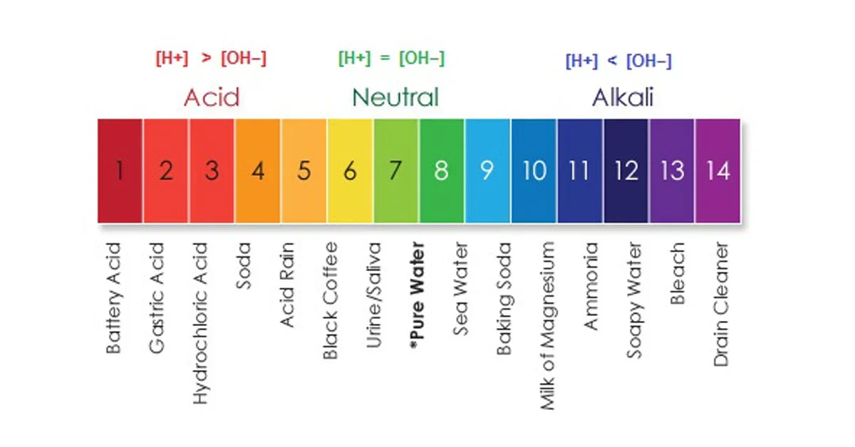 What Is Acidity in Coffee? And Why It’s Actually a Good Thing