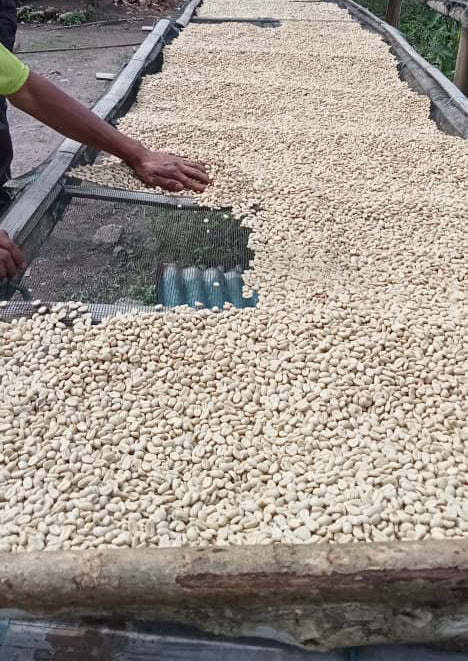 Jim's Limited-Edition Coffee from Timor