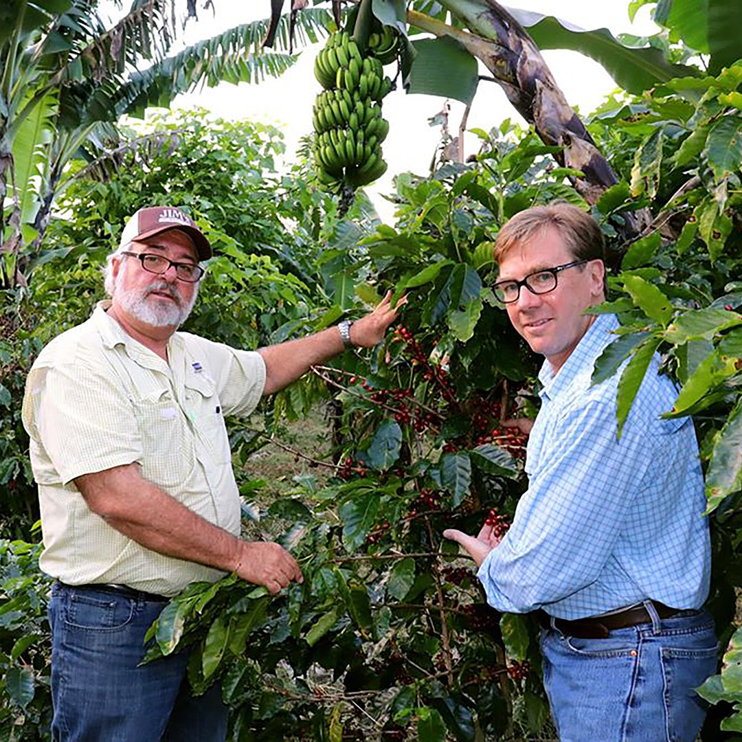 Costa Rican Hacienda La Amistad