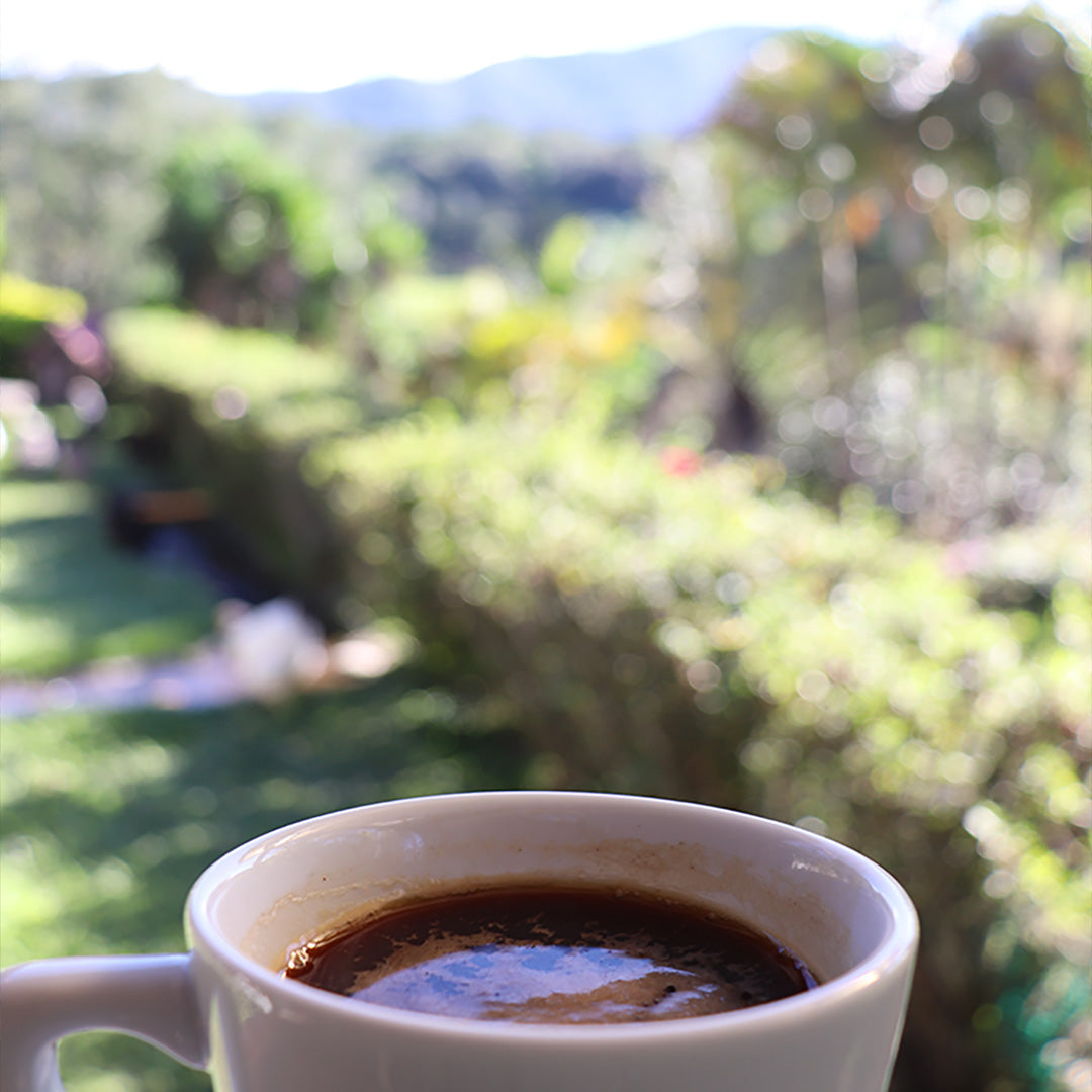 Costa Rican Hacienda La Amistad