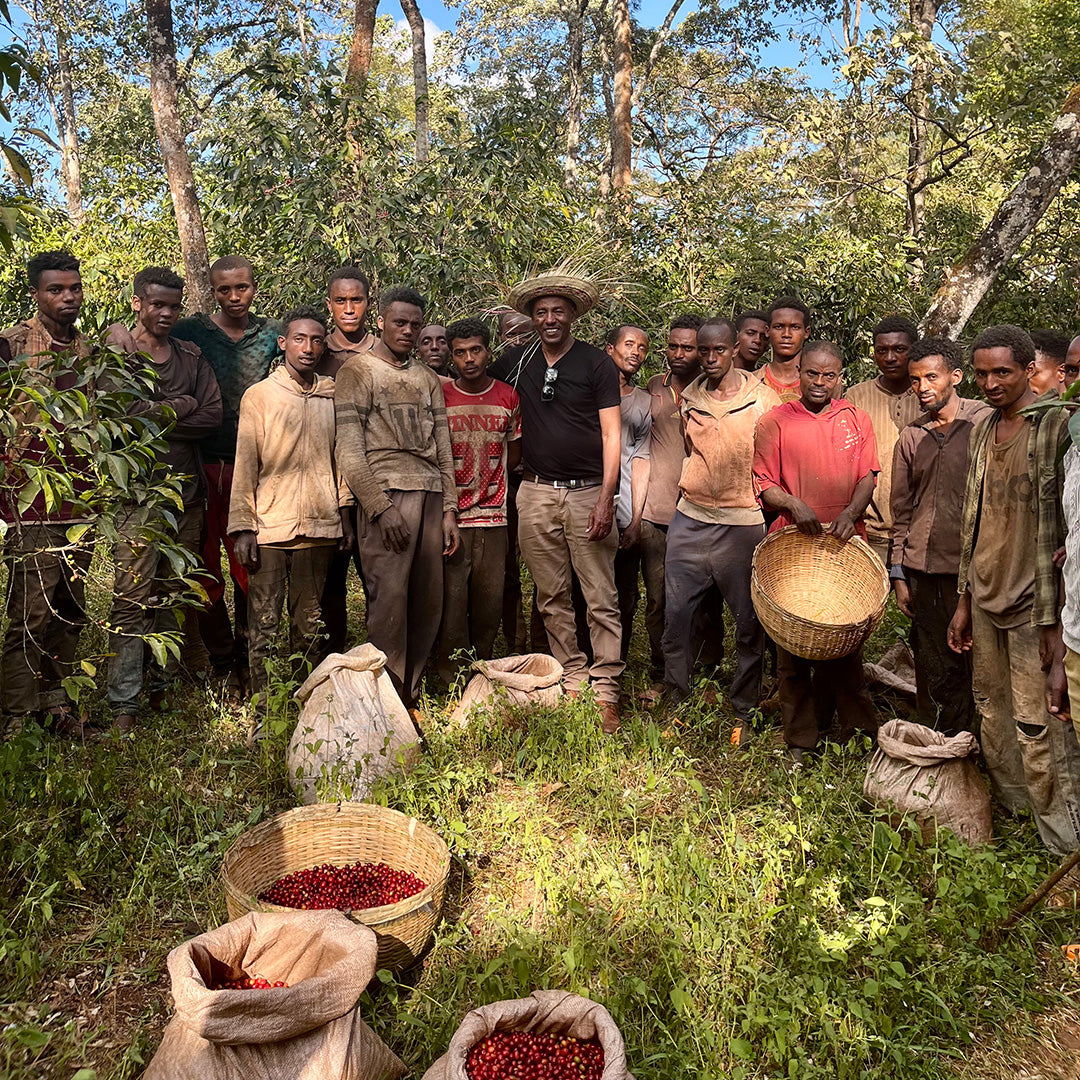 Ethiopian Guji Suke Quto