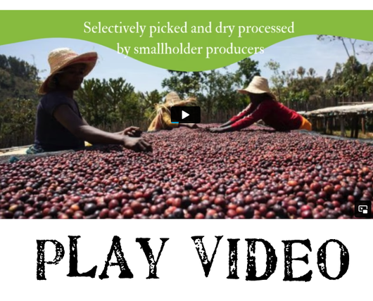 Ethiopian Bombe Limited Edition Organic Coffee - VIDEO